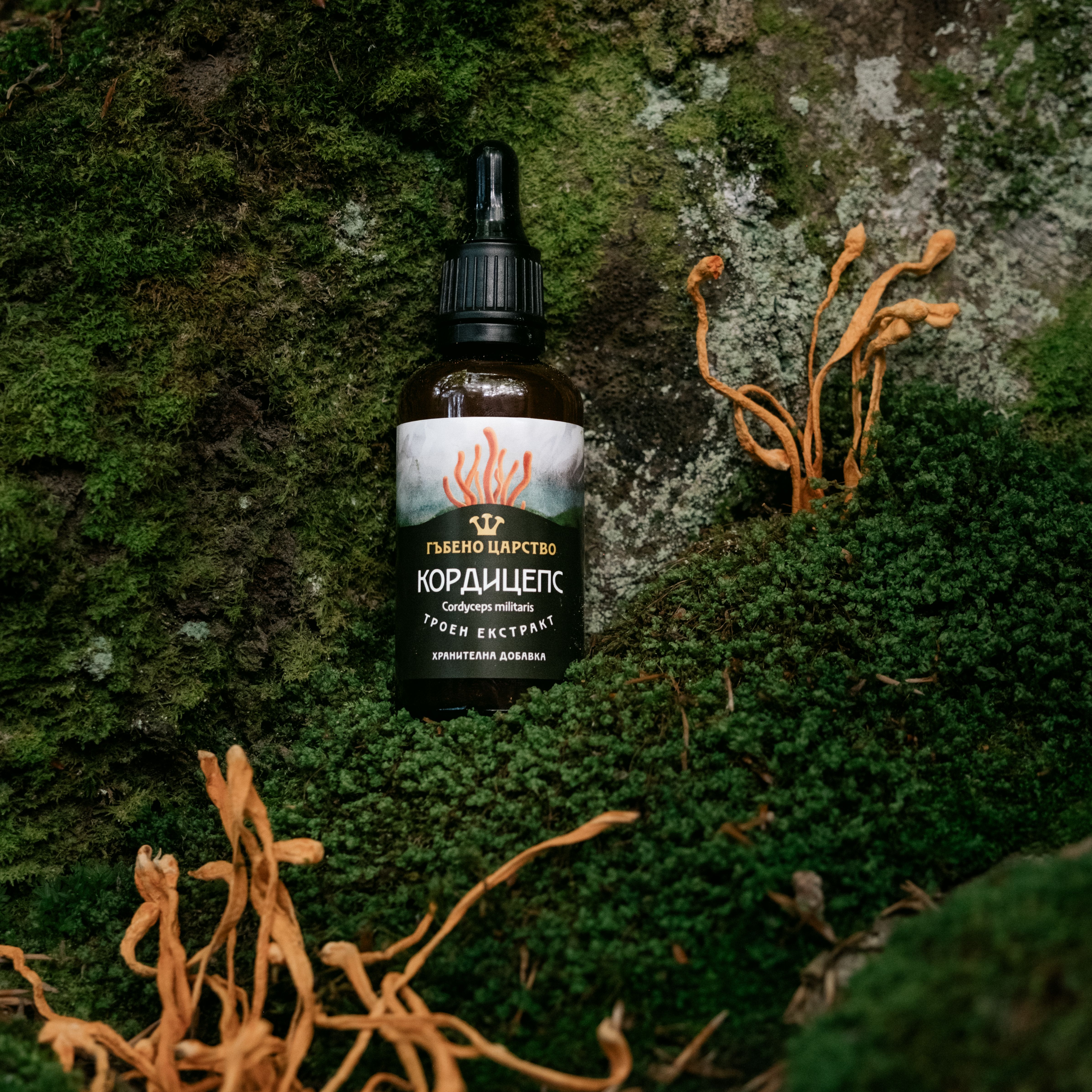 Flacone di tintura di cordyceps su muschio