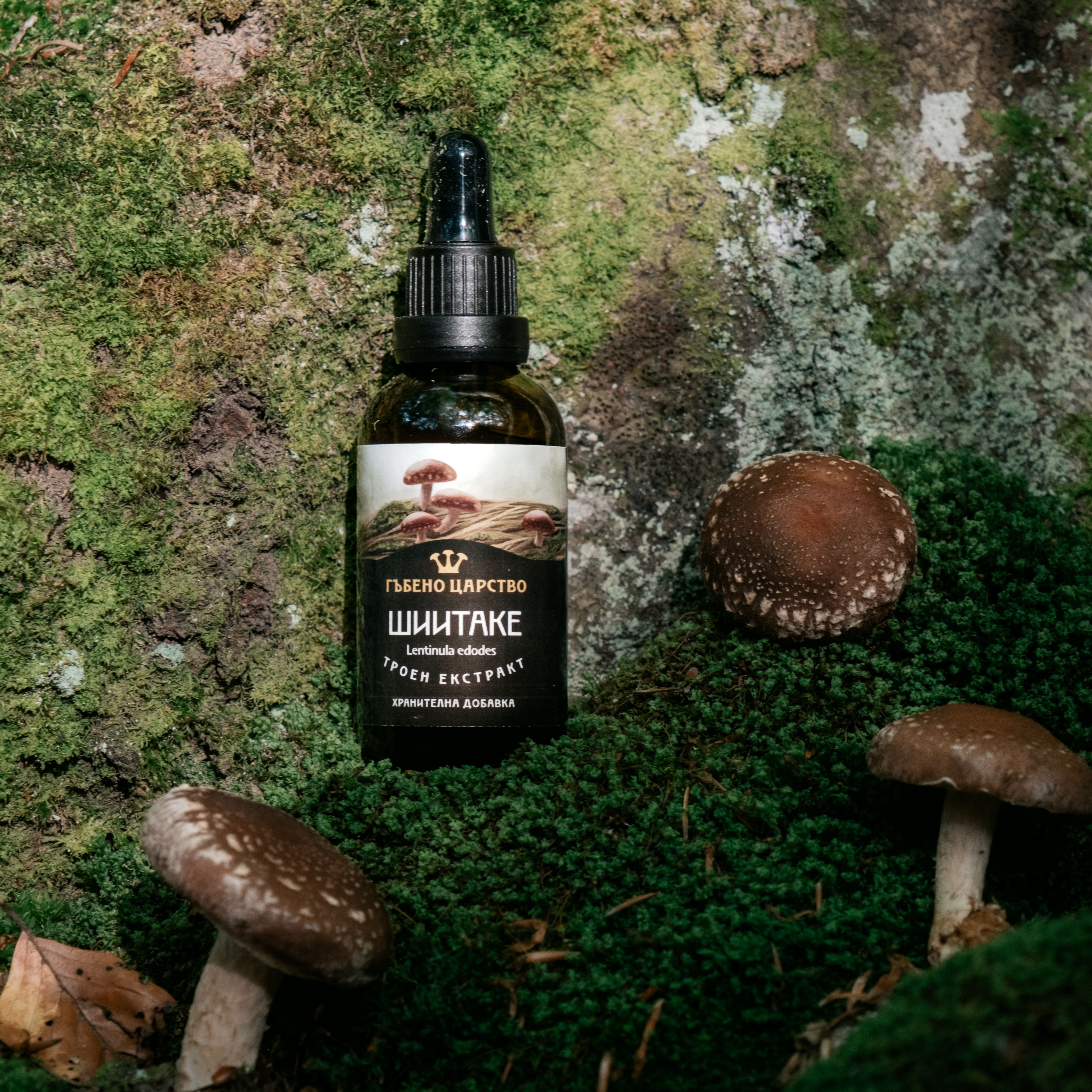 Tintura di shiitake in flacone con contagocce